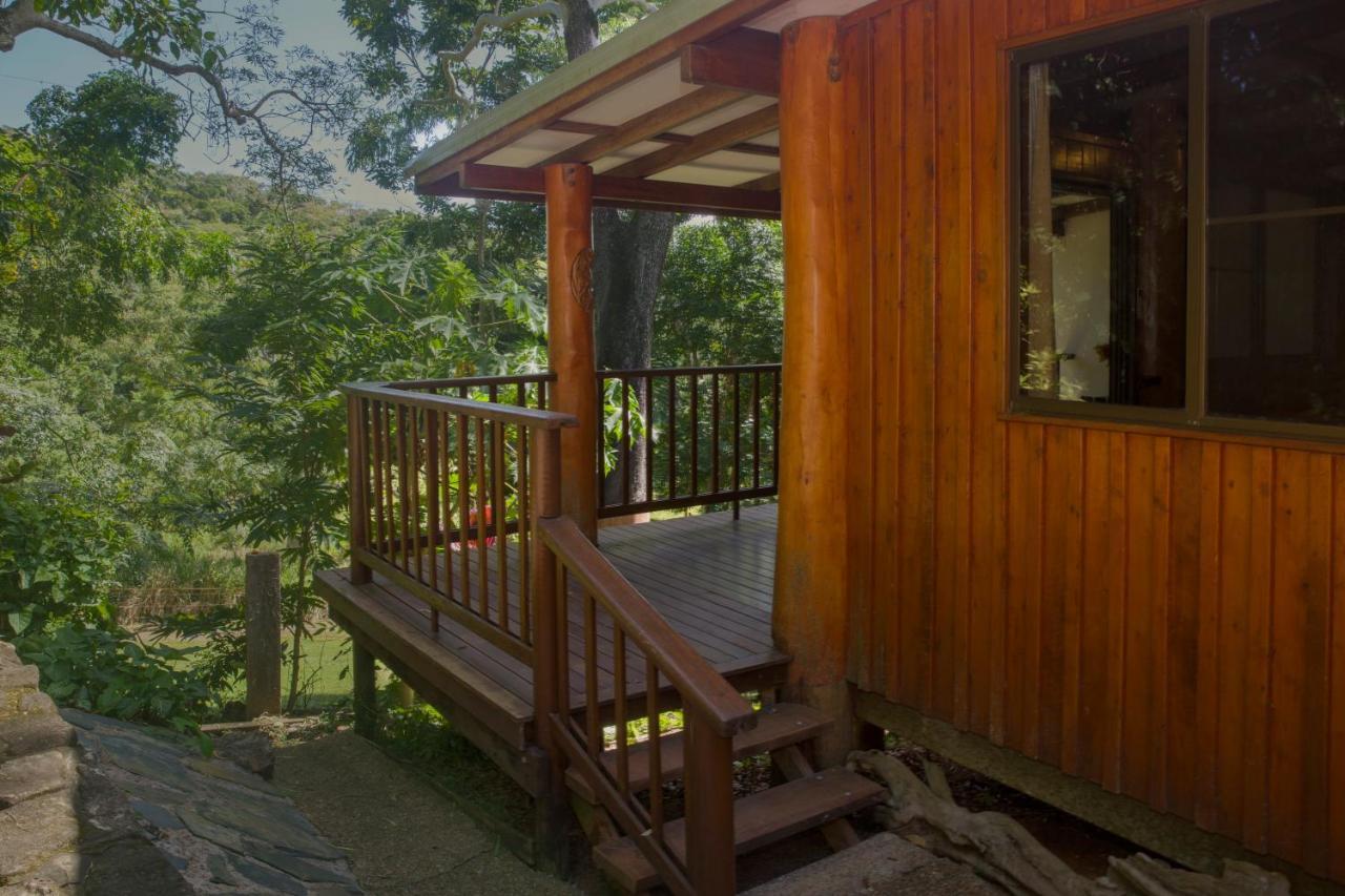 Milkwood Lodge Куктаун Екстериор снимка