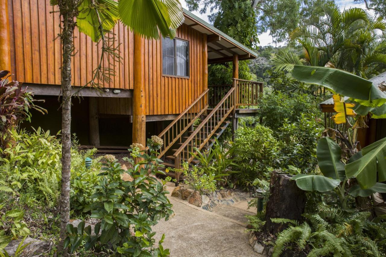 Milkwood Lodge Куктаун Екстериор снимка